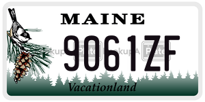 9061ZF  license plate in ME