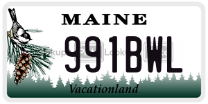 991BWL  license plate in ME