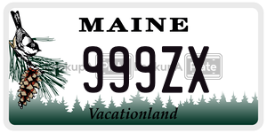 999ZX license plate in Maine