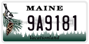 9A9181  license plate in ME