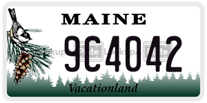 9C4042 license plate in Maine