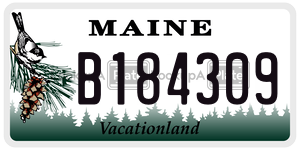 B184309 license plate in Maine
