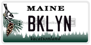 BKLYN license plate in Maine