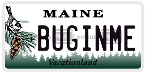 BUGINME license plate in Maine