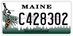 C428302  license plate in ME