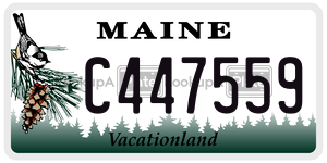 C447559  license plate in ME