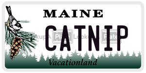 CATNIP  license plate in ME