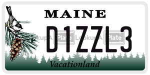 D1ZZL3 license plate in Maine