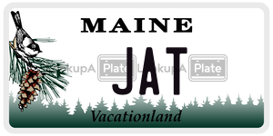 JAT  license plate in ME