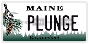 PLUNGE  license plate in ME