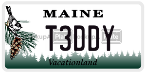 T3DDY  license plate in ME