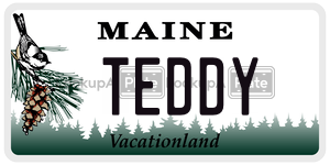 TEDDY  license plate in ME
