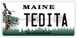 TEDITA  license plate in ME