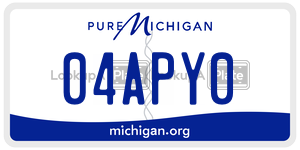 04APY0 license plate in Michigan