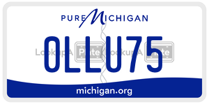 0LLU75 license plate in Michigan
