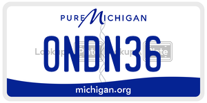 0NDN36 license plate in Michigan