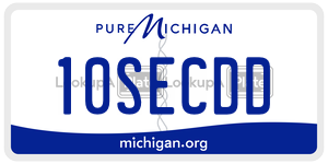 10SECDD license plate in Michigan