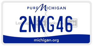 2NKG46 license plate in Michigan