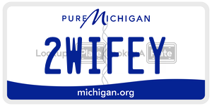2WIFEY  license plate in MI