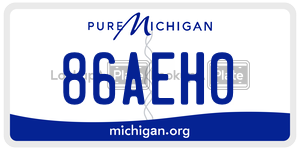 86AEH0 license plate in Michigan