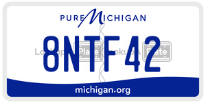 8NTF42 license plate in Michigan