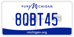 8QBT45 license plate in Michigan