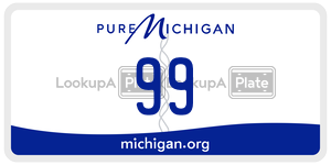 99 license plate in Michigan