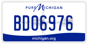 BD06976  license plate in MI