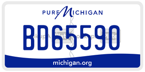 BD65590 license plate in Michigan