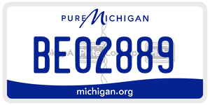 BE02889 license plate in Michigan