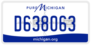 D638063 license plate in Michigan