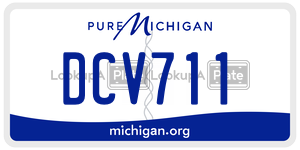 DCV711  license plate in MI
