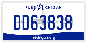 DD63838 license plate in Michigan