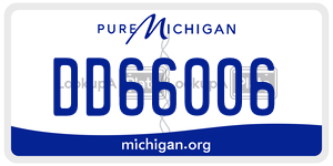 DD66006 license plate in Michigan