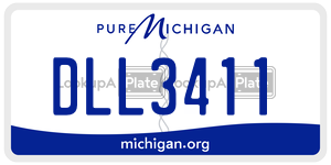 DLL3411 license plate in Michigan