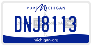 DNJ8113 license plate in Michigan