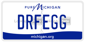 DRFEGG license plate in Michigan