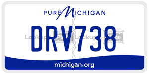 DRV738  license plate in MI