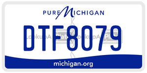 DTF8079 license plate in Michigan