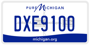 DXE9100 license plate in Michigan