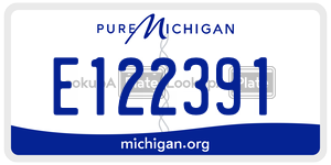 E122391  license plate in MI