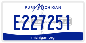 E227251 license plate in Michigan