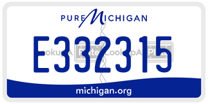 E332315 license plate in Michigan