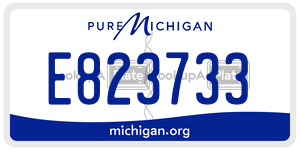 E823733 license plate in Michigan