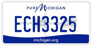 ECH3325 license plate in Michigan