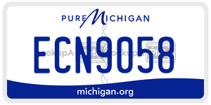ECN9058 license plate in Michigan