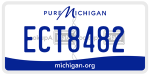 ECT8482 license plate in Michigan