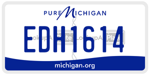 EDH1614 license plate in Michigan