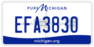 EFA3830 license plate in Michigan