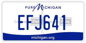 EFJ641  license plate in MI